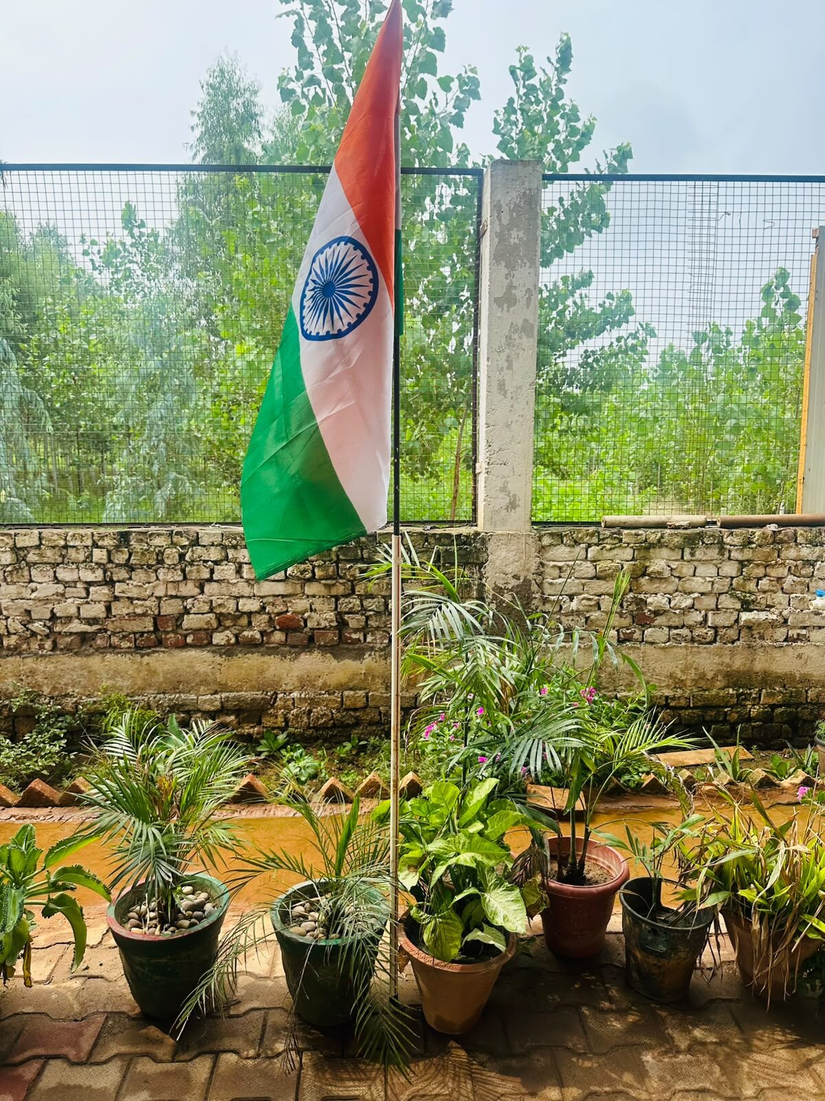 WhatsApp Image 2026-09-18 at 5.50.16 PM (2)